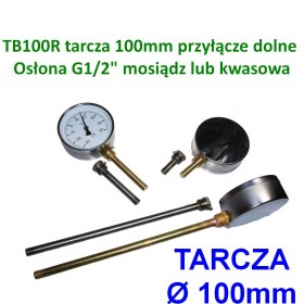 Termometr TB100R 